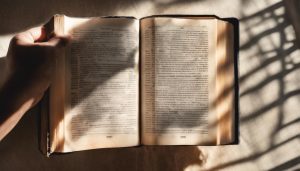 Read more about the article Entschlüsselung der Bedeutung: Erkundung der Klarheit und Zugänglichkeit der Neuen Internationalen Version